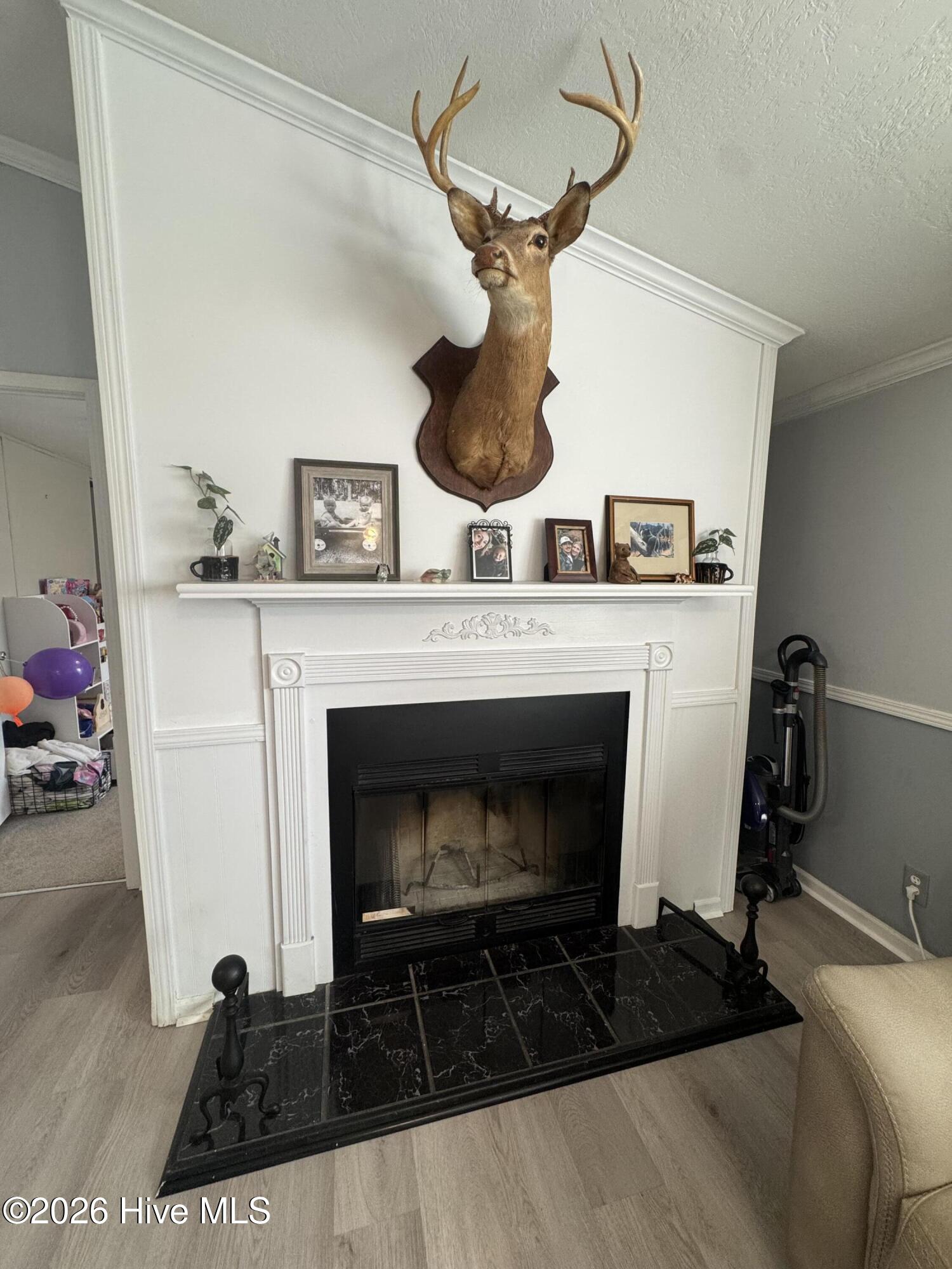 8521 Johns Mill Road Maxton, NC 28364 - Photo 9 of 22 Fire place