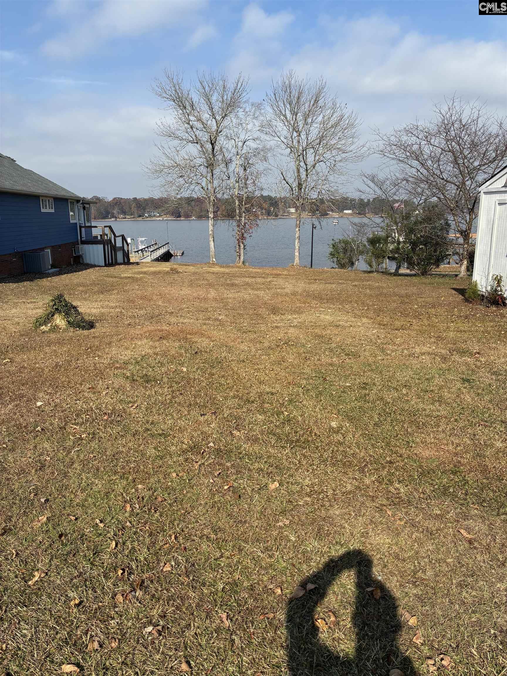 266 Saluda Waters Point Leesville, SC 29070 - Photo 3 of 7