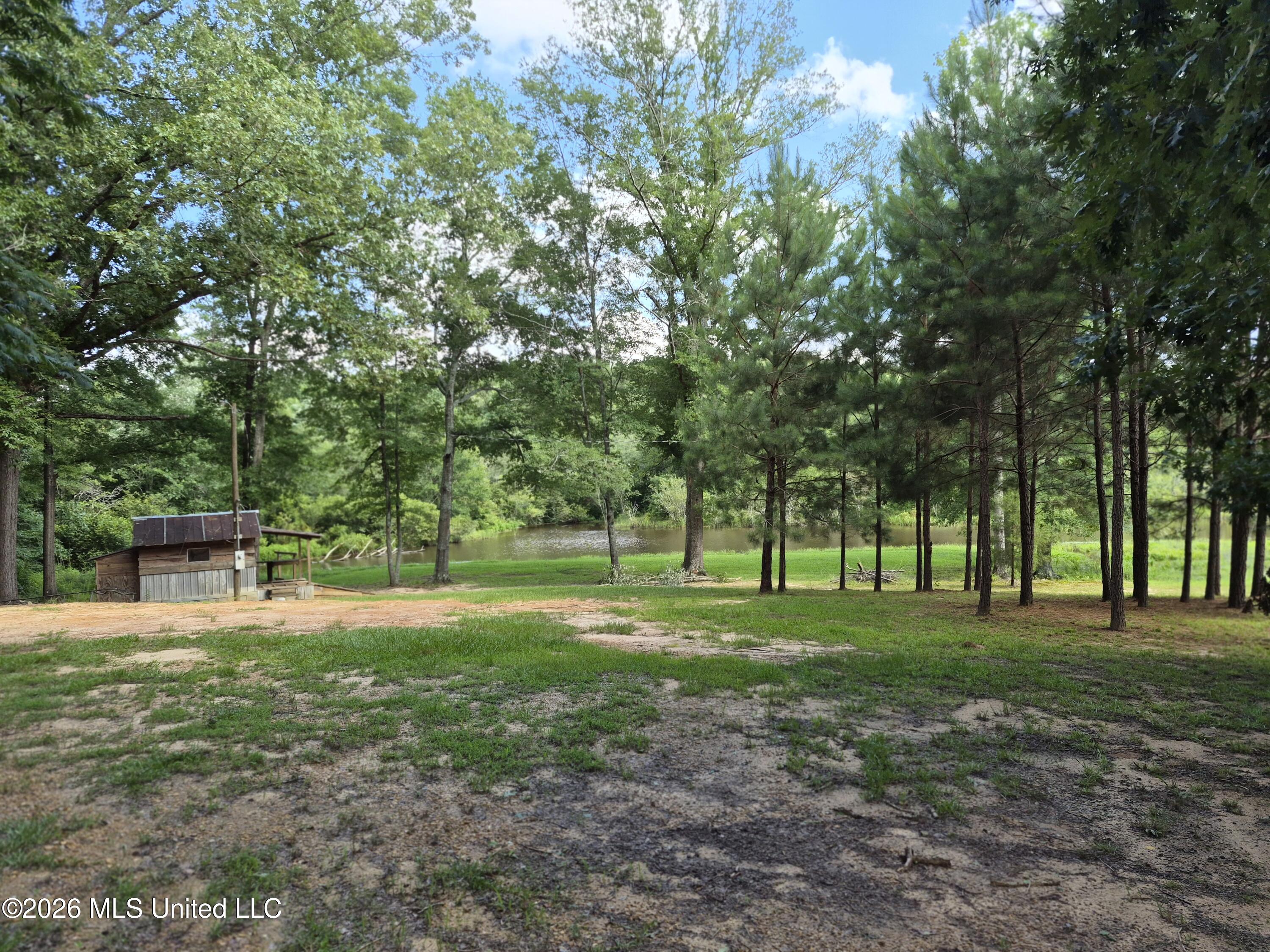 1200 Chetwood Road Carthage, MS 39051 - Photo 9 of 19 9367