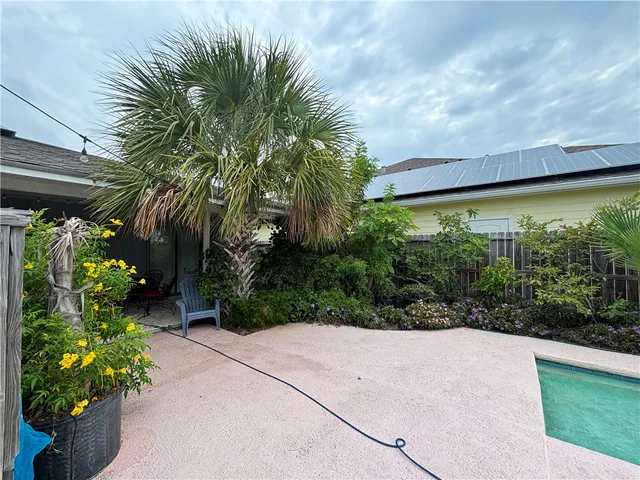 a view of a garden with plants and large trees
