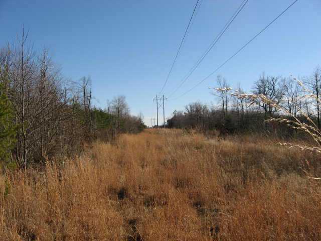 0 Lovett Road Long Bottom, OH 45743 - Photo 5 of 10