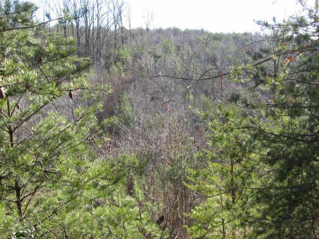 0 Lovett Road Long Bottom, OH 45743 - Photo 6 of 10