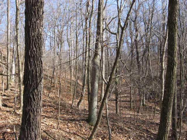 0 Lovett Road Long Bottom, OH 45743 - Photo 8 of 10