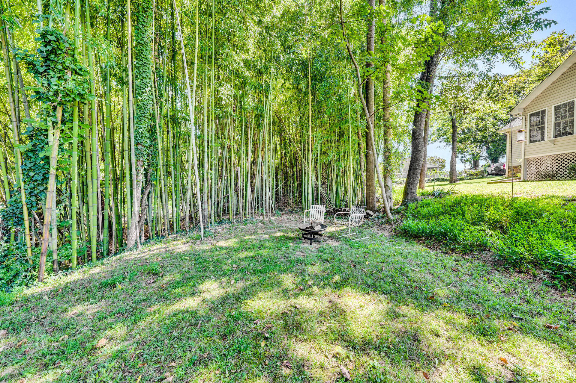 672 Kessler Mill Road Salem, VA 24153 - Photo 37 of 44 a view of a backyard with plants and large trees