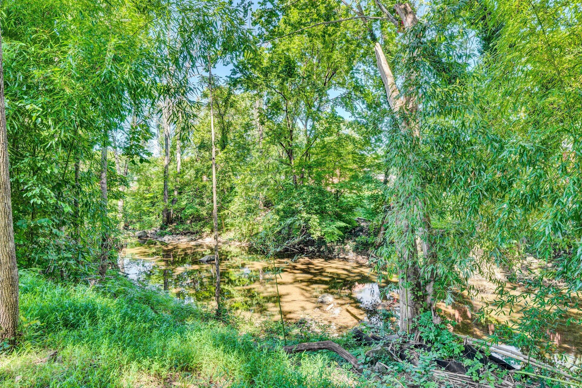 672 Kessler Mill Road Salem, VA 24153 - Photo 39 of 44 a view of a yard with plants and large trees