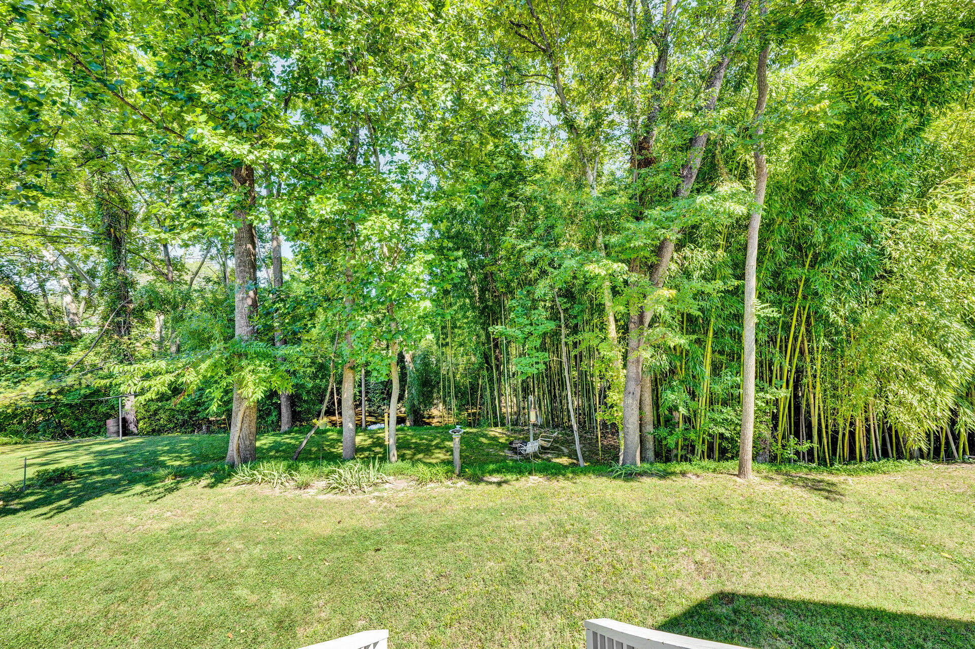 672 Kessler Mill Road Salem, VA 24153 - Photo 41 of 44 a backyard of a house with lots of green space