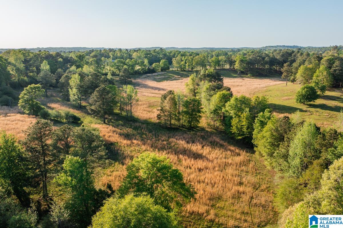 1820 County Road 3 Reform, AL 35481 - Photo 7 of 8
