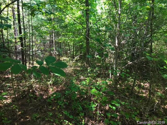 0 Creekside Circle, Unit 112 Rutherfordton, NC 28139 - Photo 3 of 15