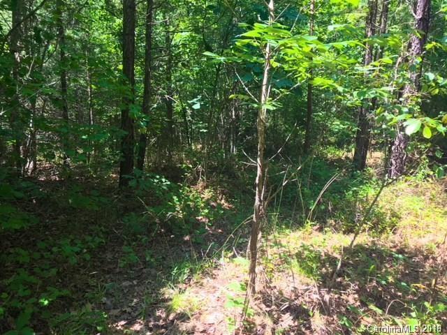0 Creekside Circle, Unit 112 Rutherfordton, NC 28139 - Photo 4 of 15