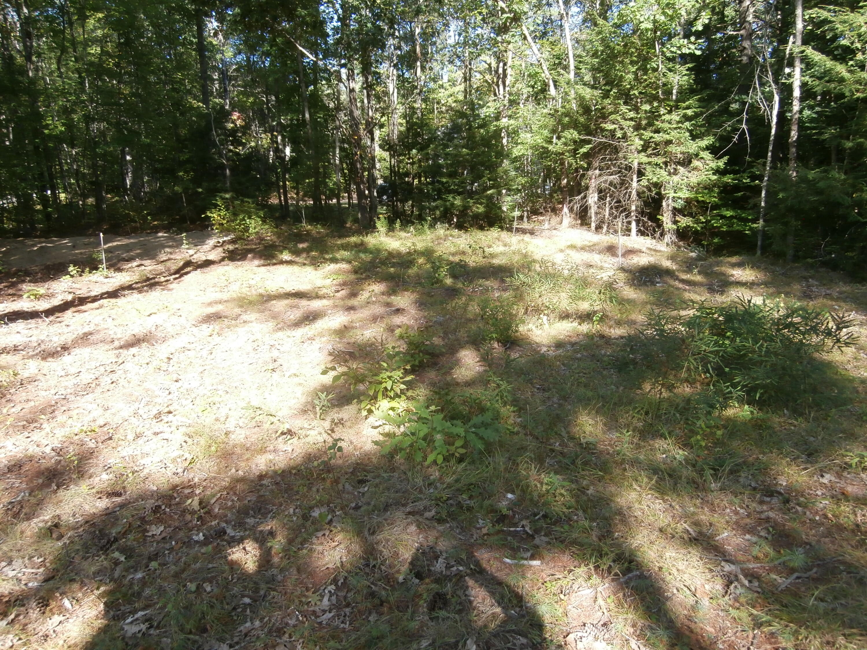 Lot15-006b Quarry Road Limerick, ME 04048 - Photo 1 of 15 P1010607