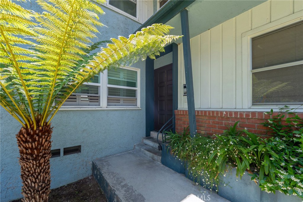 5835 Bowcroft Street, Unit 2 Los Angeles, CA 90016 - Photo 2 of 30 a plant that is in front of a house