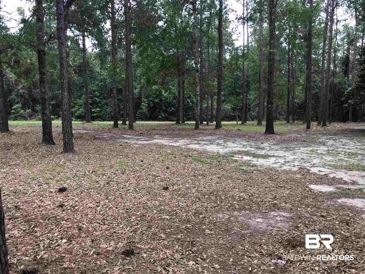 19900 Reedy Crk Road Robertsdale, AL 36567 - Photo 6 of 50