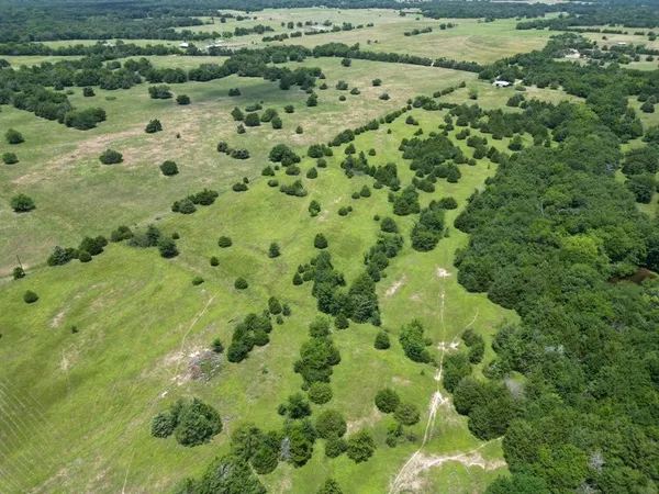 a view of a big yard