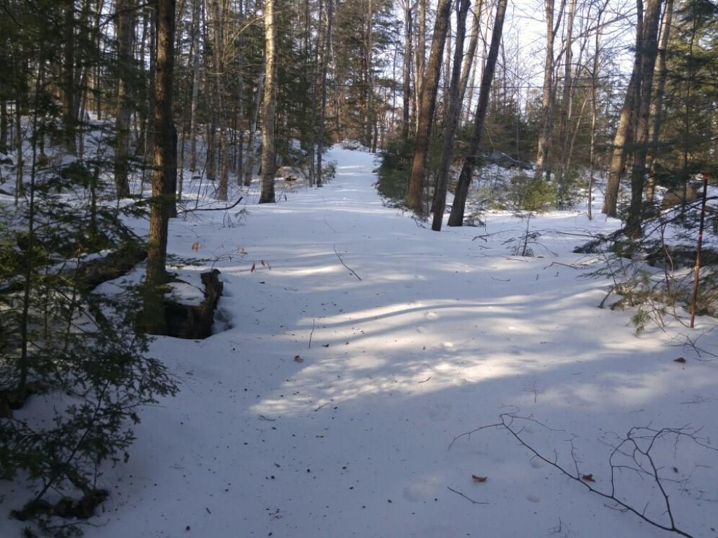 308 Sand Pond Road Chesterville, ME 04938 - Photo 3 of 17 Photo