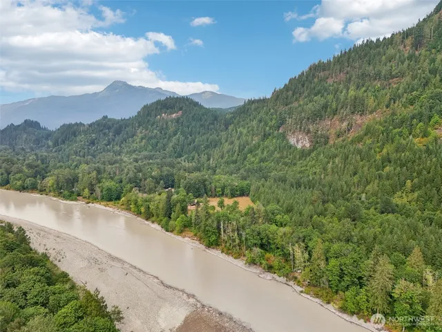 a view of a pathway with a forest