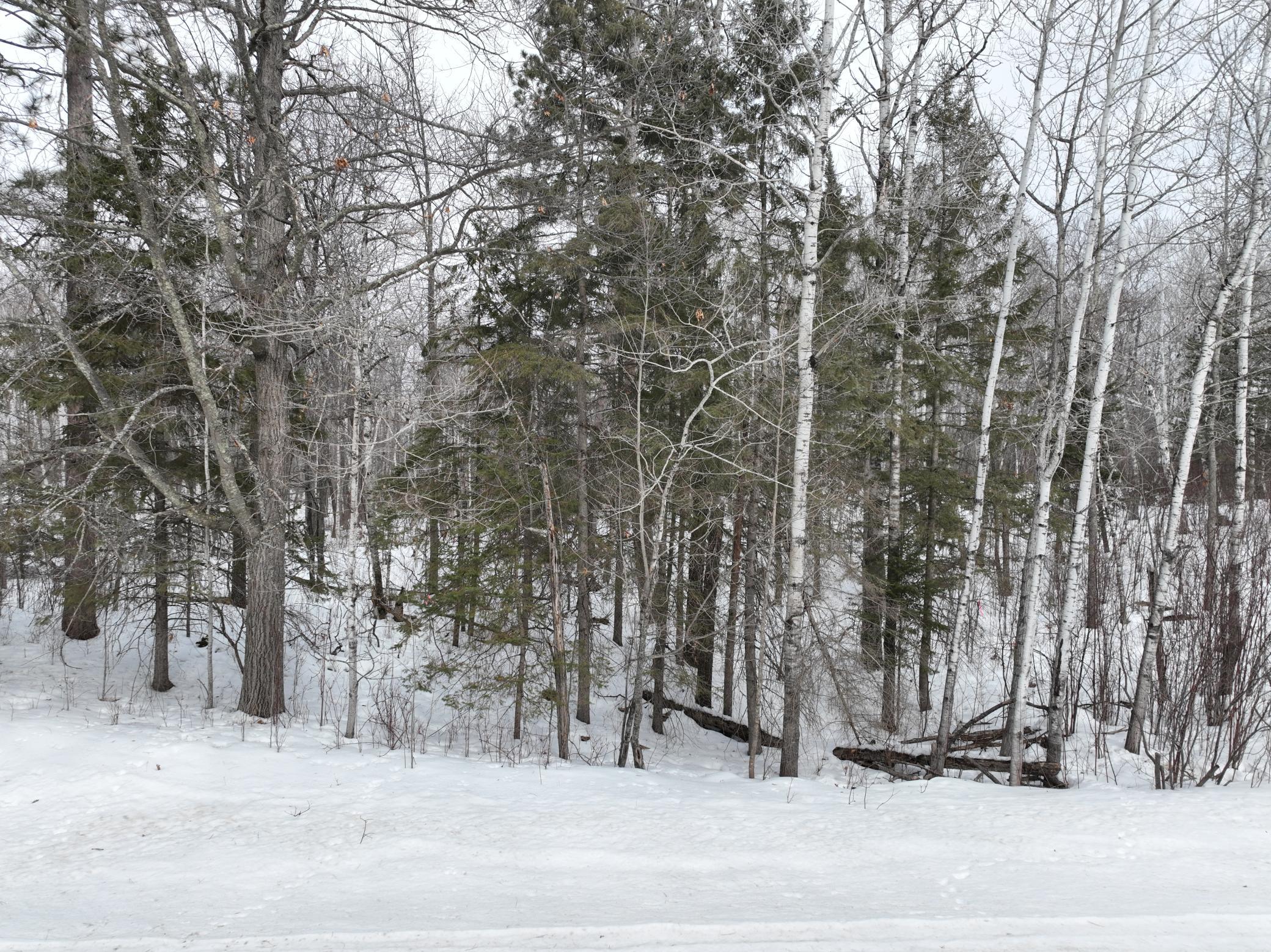 Tbd-3 Christmas Point Road Northwest Walker, MN 56484 - Photo 11 of 12
