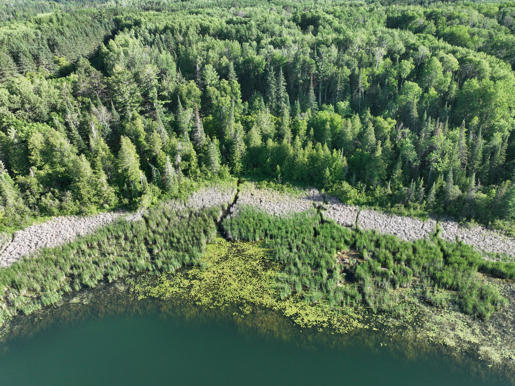 Tbd-3 Christmas Point Road Northwest Walker, MN 56484 - Photo 4 of 12