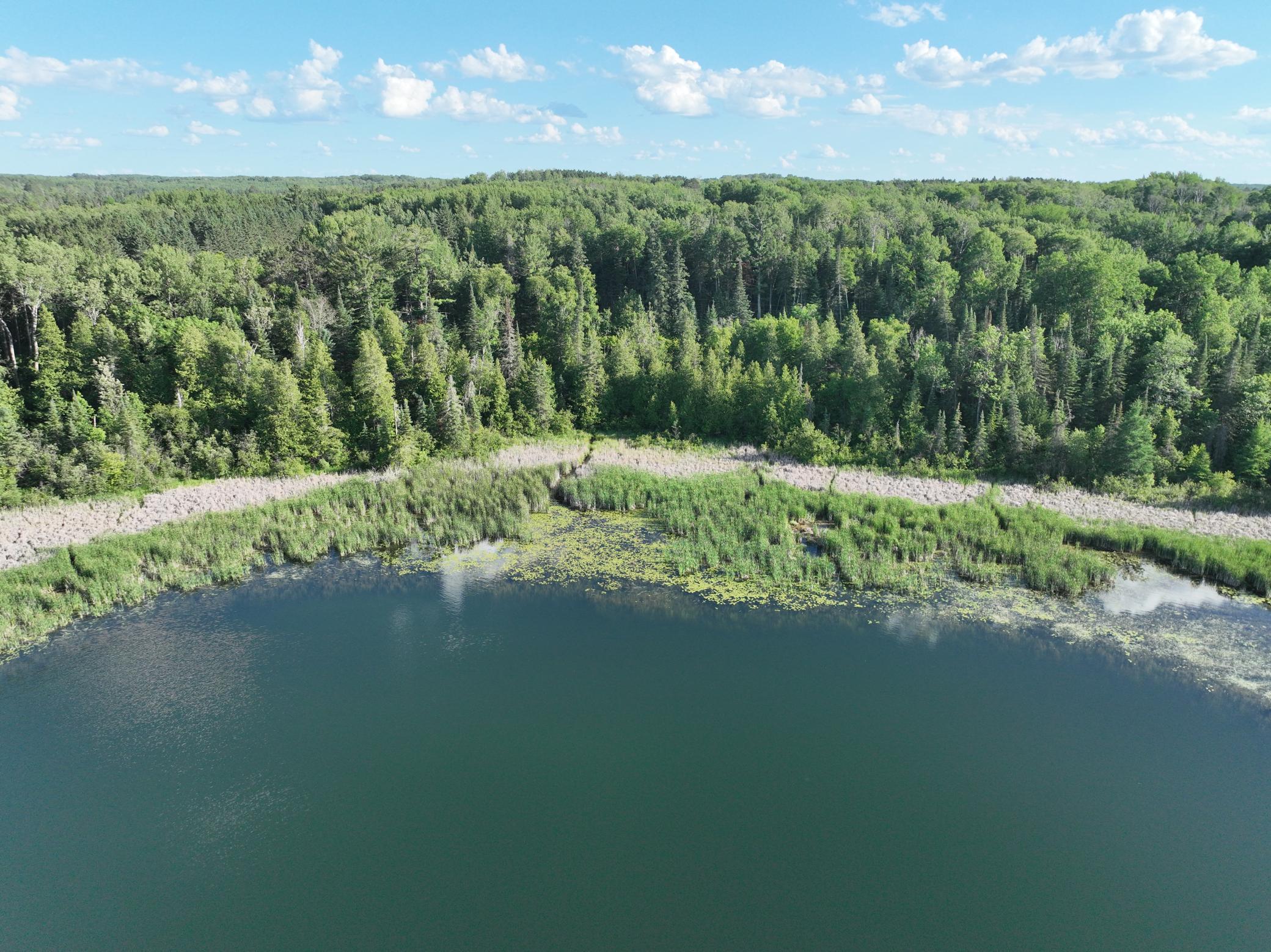 Tbd-3 Christmas Point Road Northwest Walker, MN 56484 - Photo 5 of 12