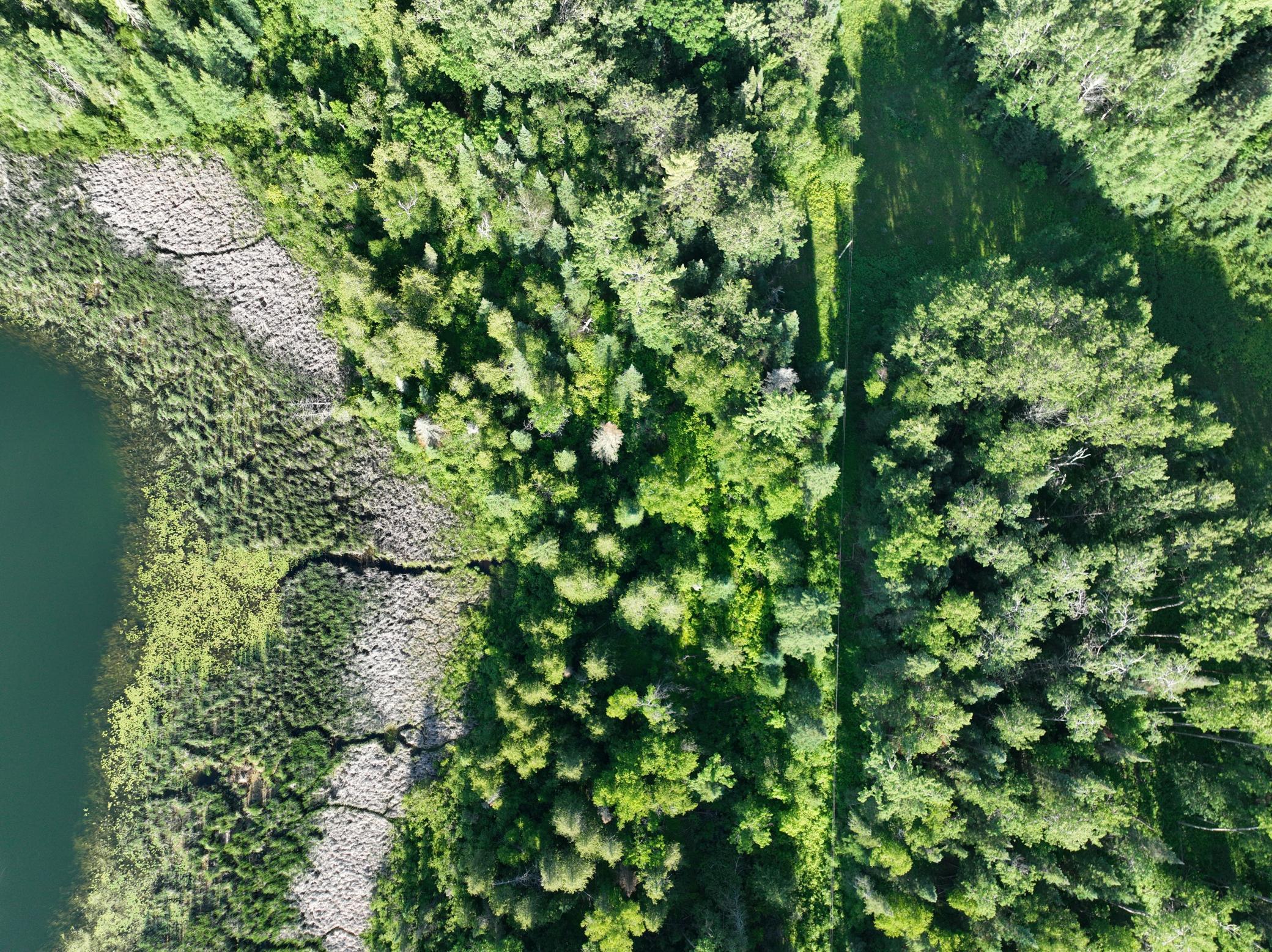 Tbd-3 Christmas Point Road Northwest Walker, MN 56484 - Photo 9 of 12