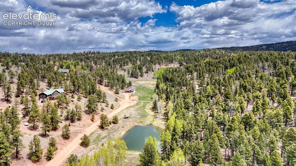 42 Rabbit Circle Florissant, CO 80816 - Photo 14 of 20 a view of outdoor space and garden