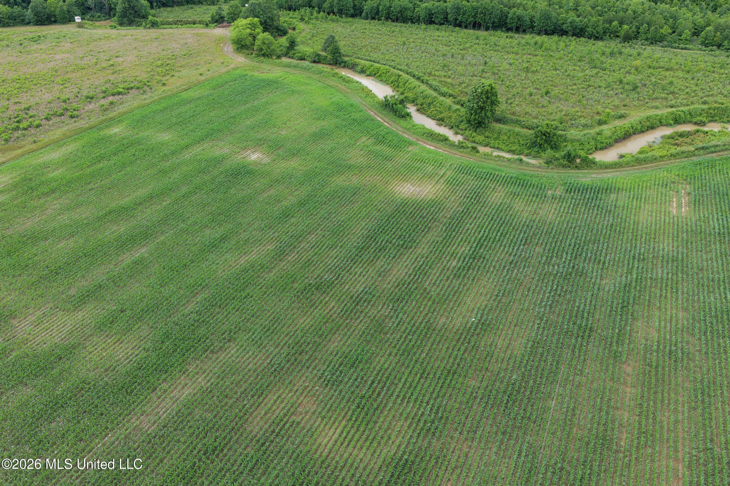 Dummyline Road Batesville, MS 38606 - Photo 26 of 44 2tndllnd12