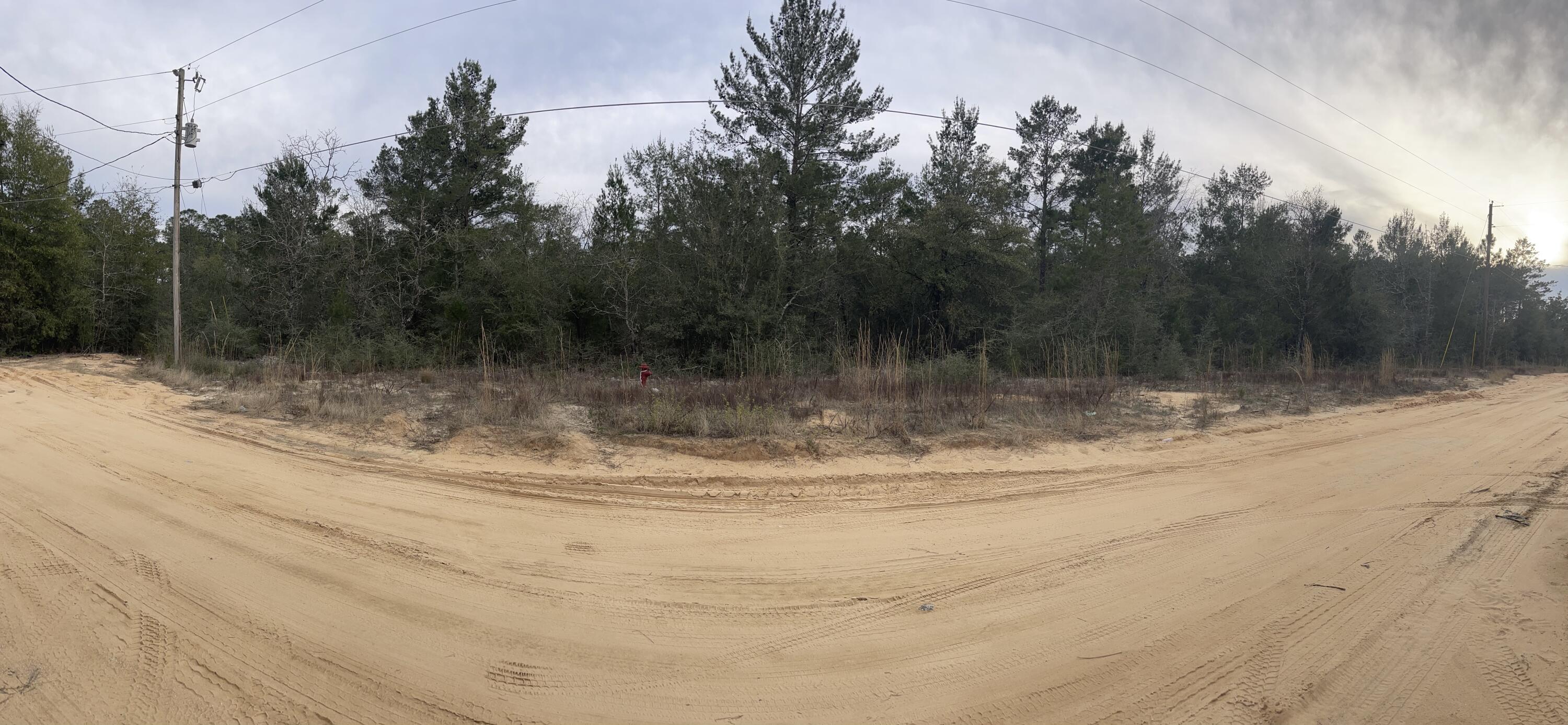 Tbd See Saw Bend Road DeFuniak Springs, FL 32433 - Photo 2 of 5 a view of a yard with a tree