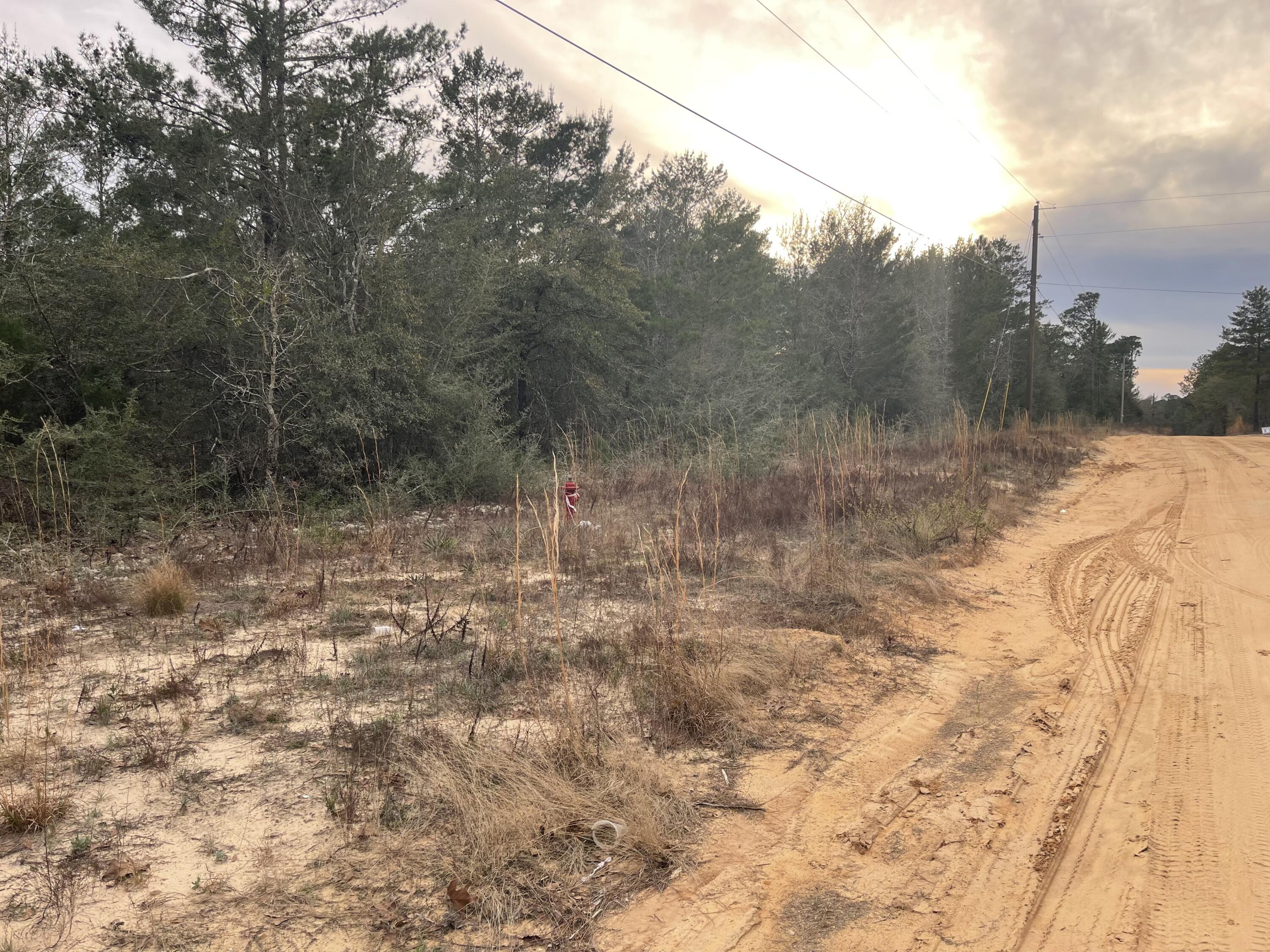 Tbd See Saw Bend Road DeFuniak Springs, FL 32433 - Photo 3 of 5 a view of a dry yard with trees