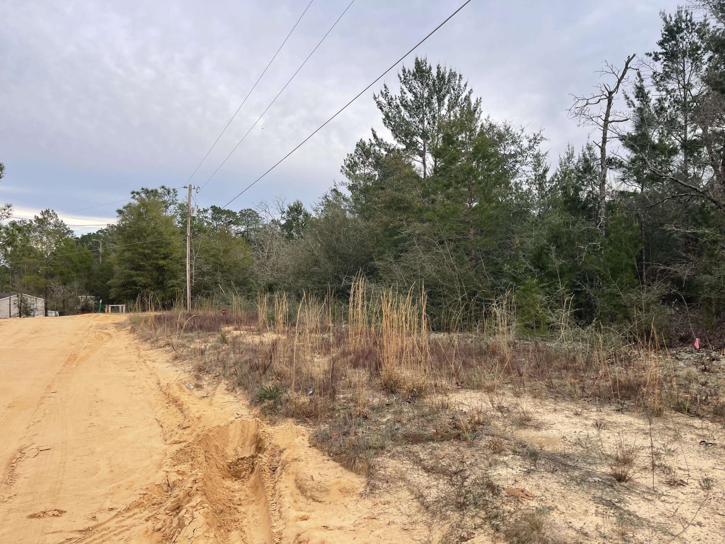 Tbd See Saw Bend Road DeFuniak Springs, FL 32433 - Photo 4 of 5 a view of a yard with a tree