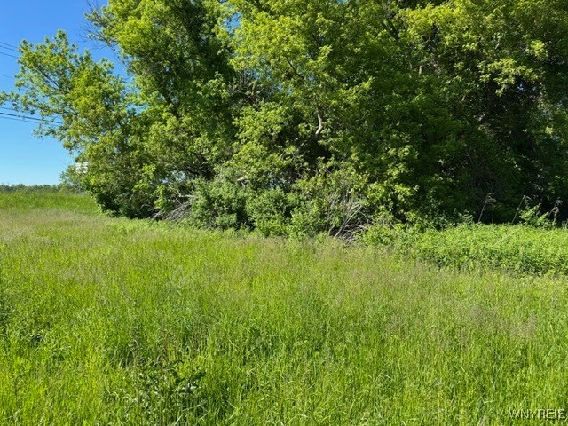 7121 Gowanda State Road Eden, NY 14075 - Photo 3 of 6