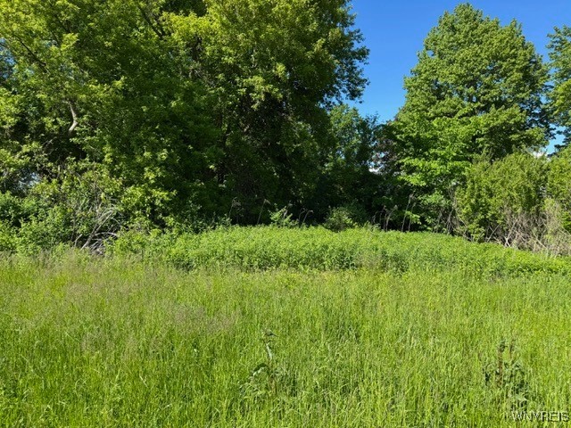 7121 Gowanda State Road Eden, NY 14075 - Photo 4 of 6