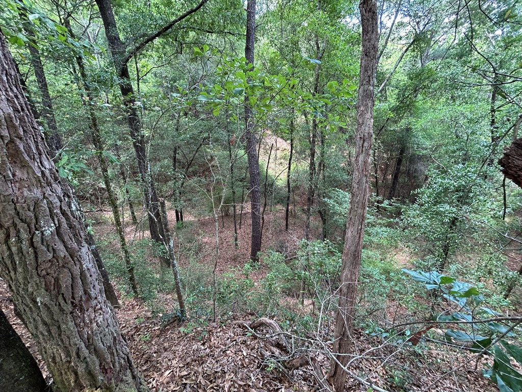 10907-44 -ac) Cty Road Hartford, AL 36344 - Photo 41 of 52
