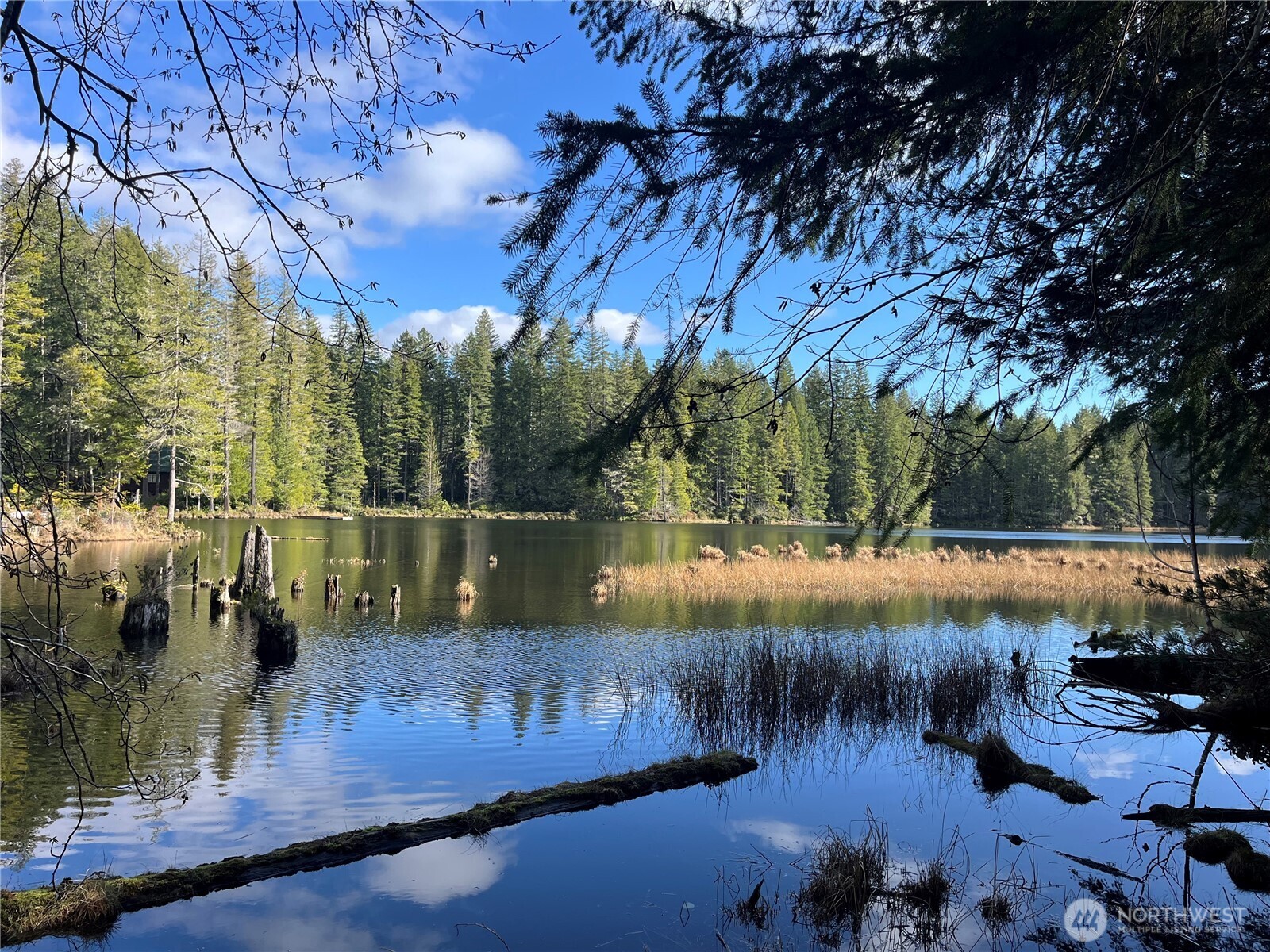 a view of lake with green space