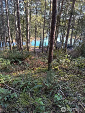 a view of backyard with green space