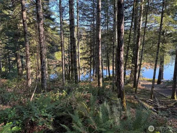a view of forest