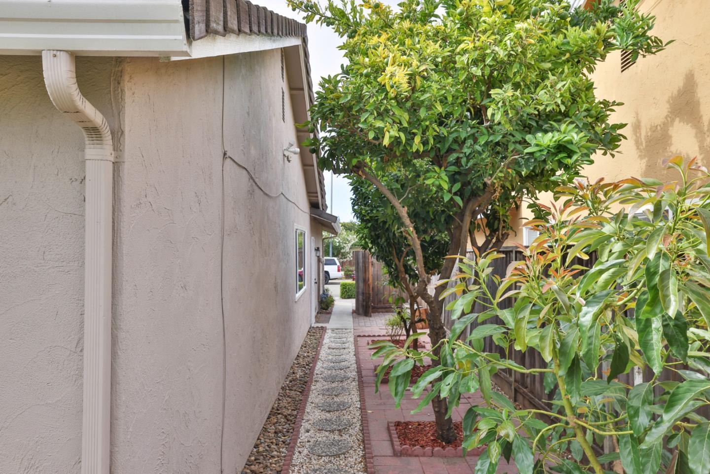 365 San Andreas Drive Milpitas, CA 95035 - Photo 25 of 26 a backyard of a house with lots of green space