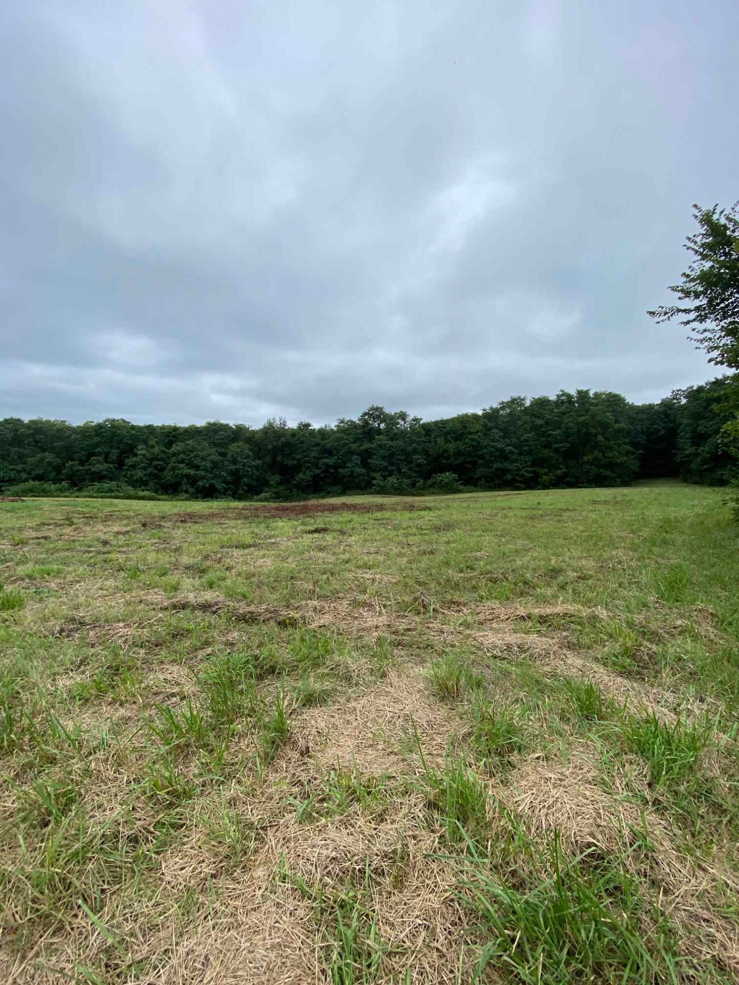 3 Baton Rouge Road Williamstown, KY 41097 - Photo 8 of 25