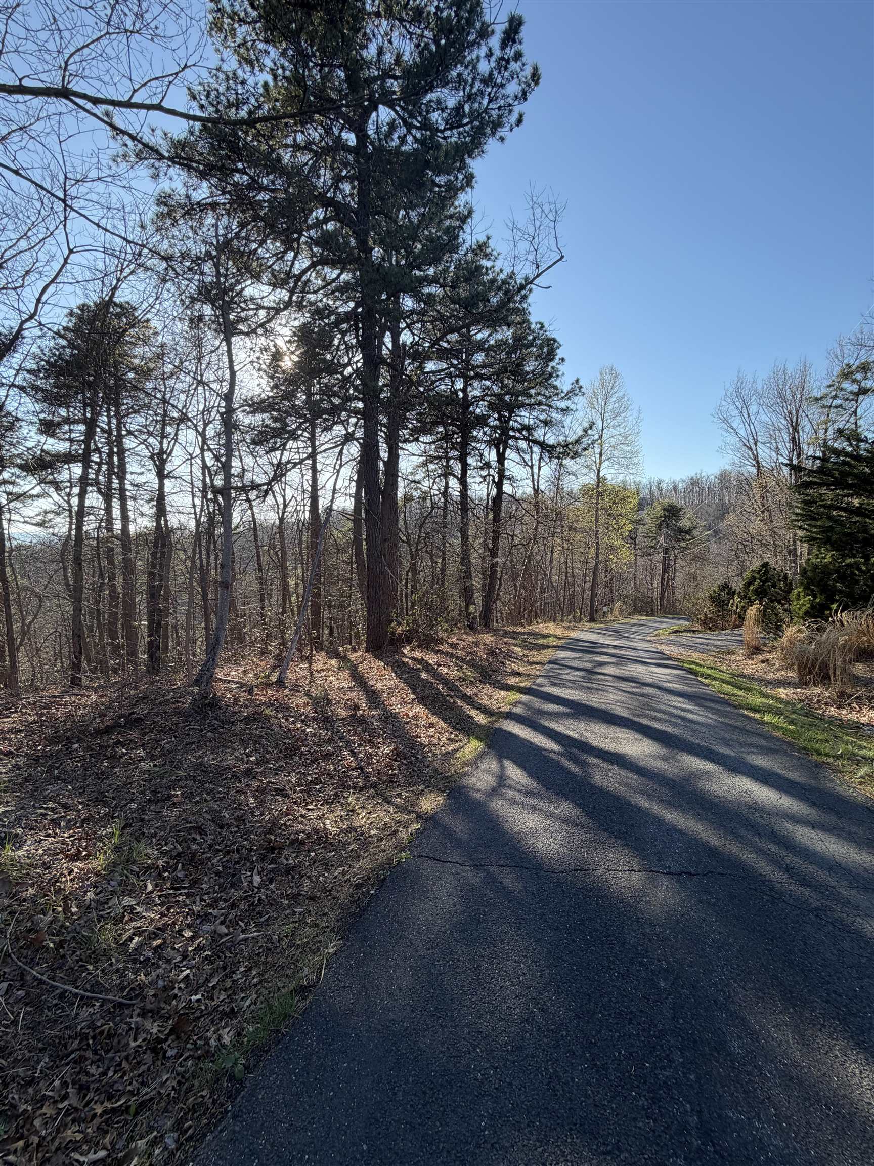 Old Stony Ridge Road Afton, VA 22920 - Photo 11 of 22 Lot view from the road