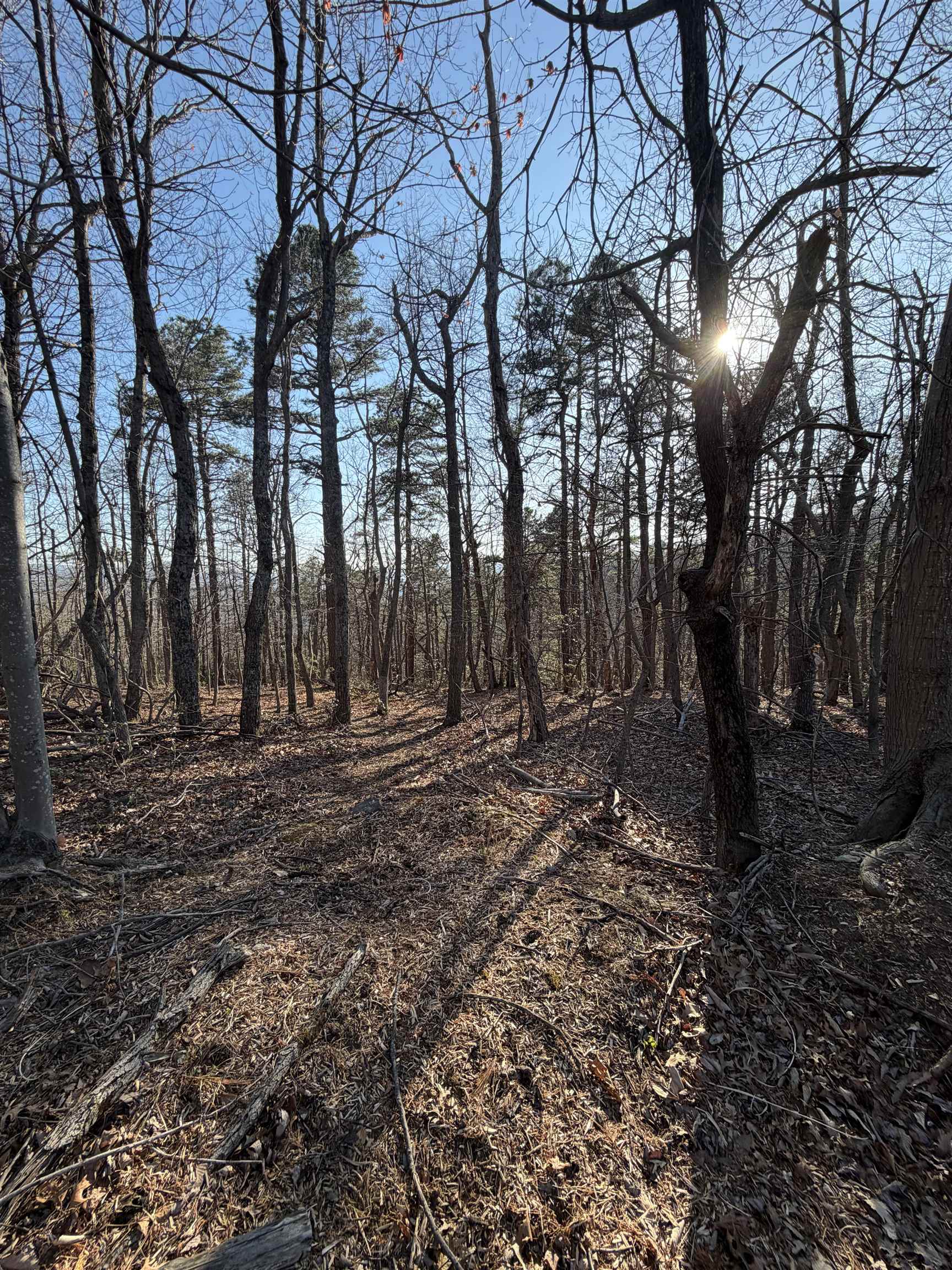 Old Stony Ridge Road Afton, VA 22920 - Photo 14 of 22 Lot view just off the raod