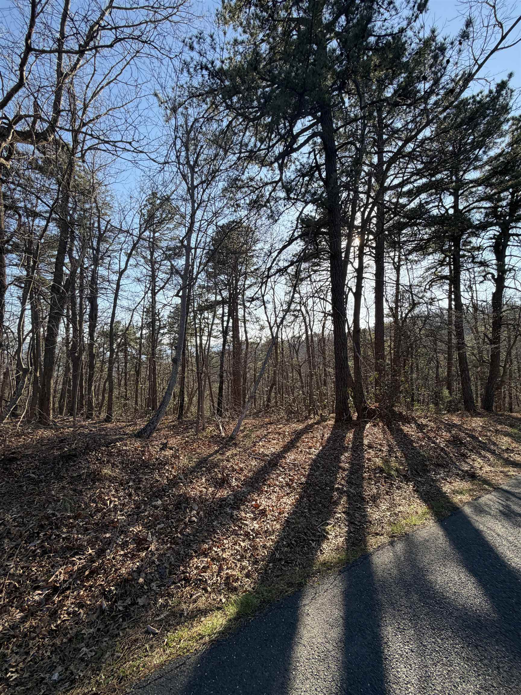 Old Stony Ridge Road Afton, VA 22920 - Photo 16 of 22 Lot view just off the raod