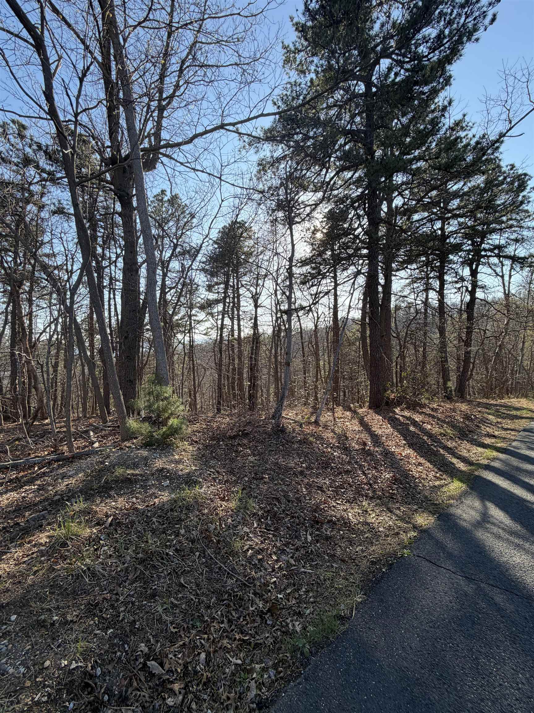 Old Stony Ridge Road Afton, VA 22920 - Photo 18 of 22 Lot view from the road