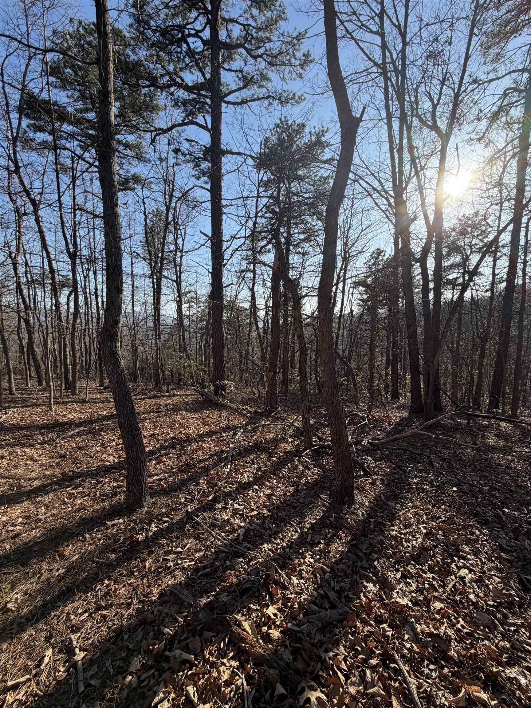Old Stony Ridge Road Afton, VA 22920 - Photo 19 of 22