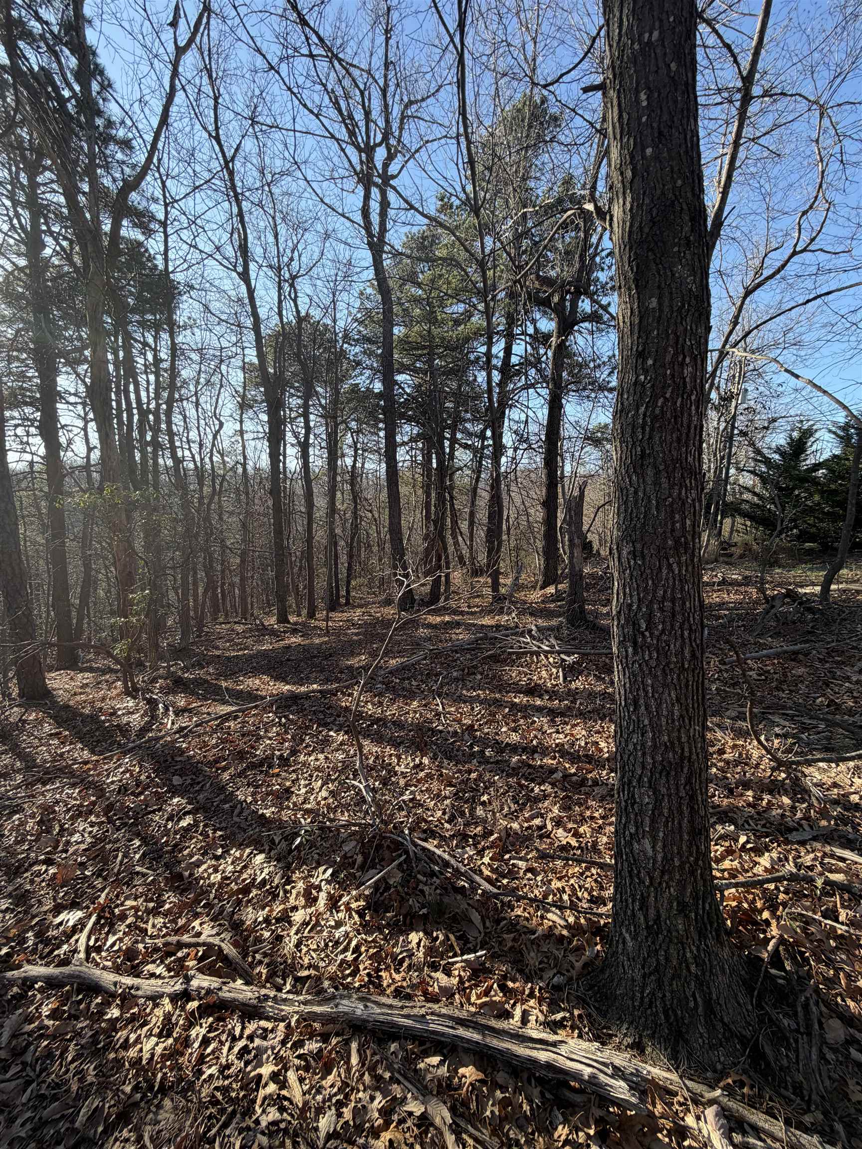 Old Stony Ridge Road Afton, VA 22920 - Photo 20 of 22
