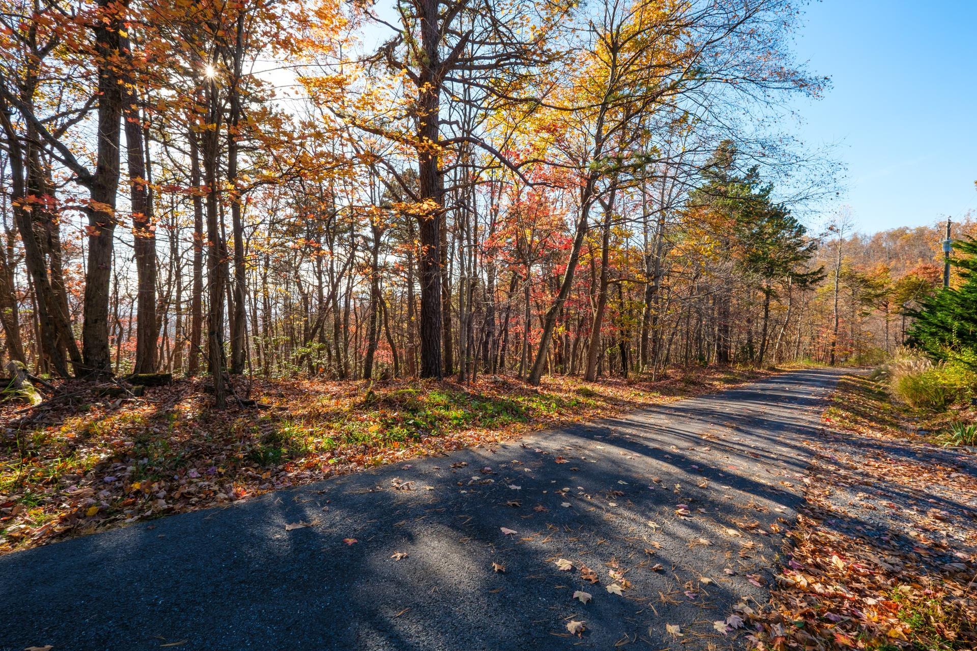 Old Stony Ridge Road Afton, VA 22920 - Photo 2 of 22 Lot 7 on Left Side of St