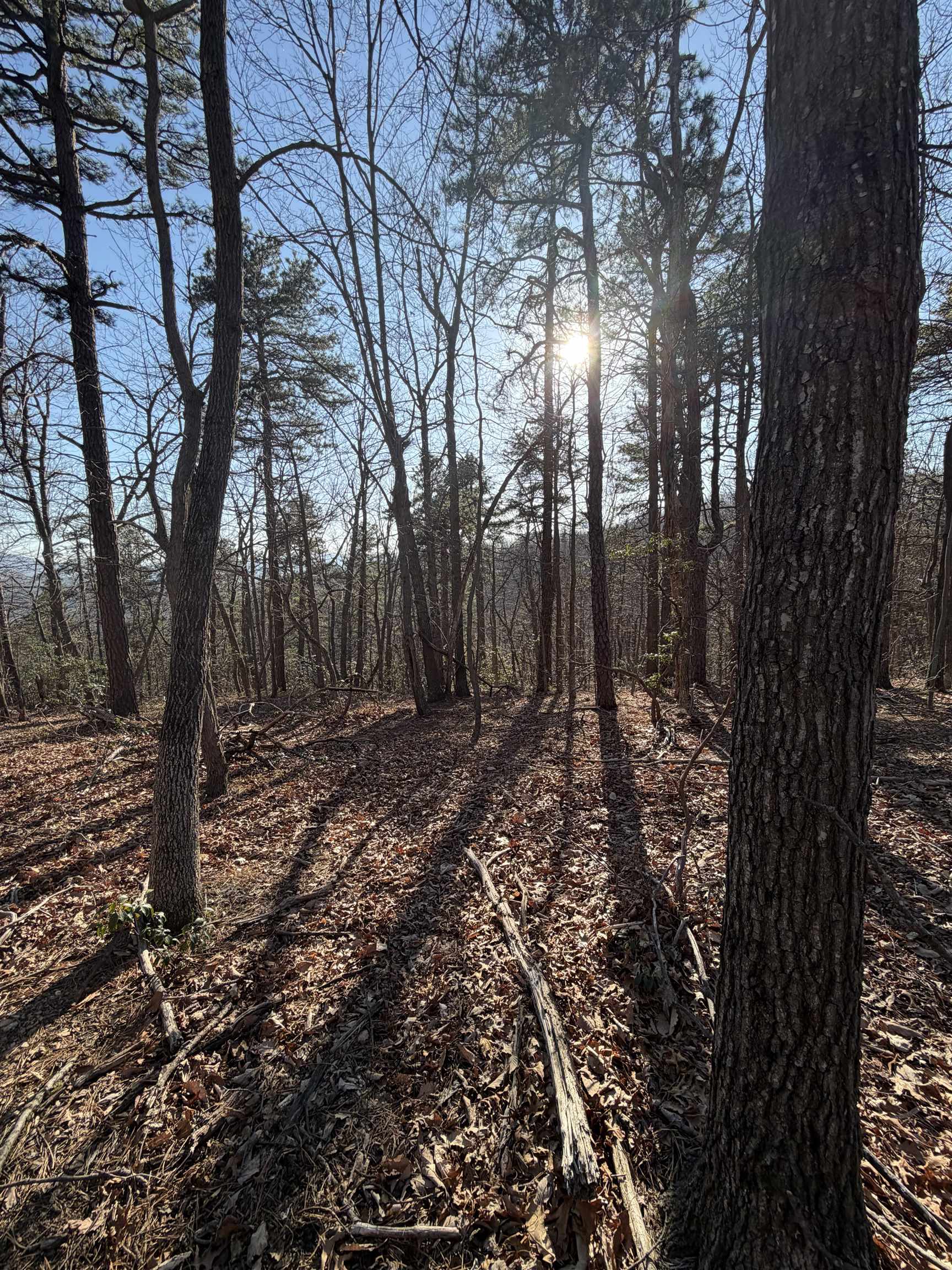 Old Stony Ridge Road Afton, VA 22920 - Photo 22 of 22