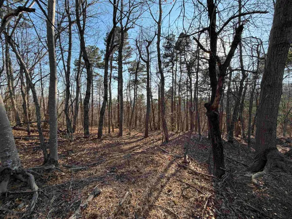 $220,000 | Old Stony Ridge Road, Afton, VA 22920