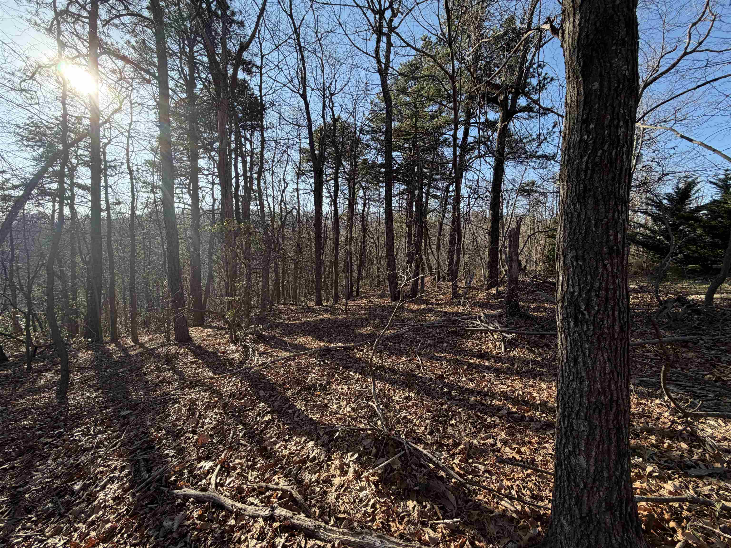Old Stony Ridge Road Afton, VA 22920 - Photo 7 of 22 Lot view just off the road