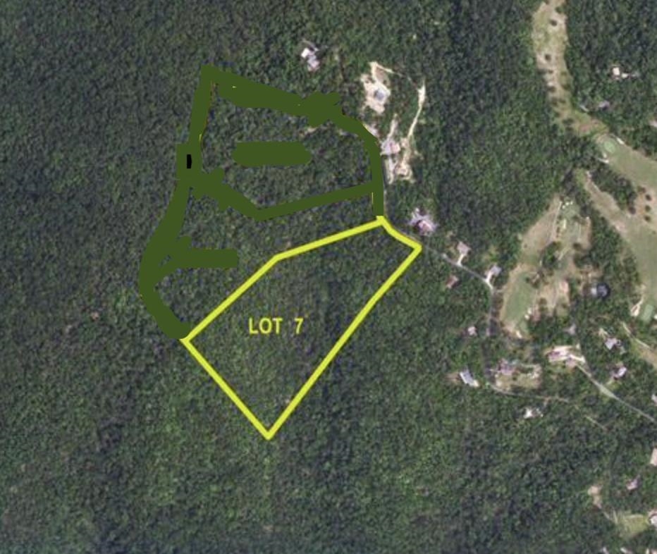 Old Stony Ridge Road Afton, VA 22920 - Photo 8 of 22 Overview