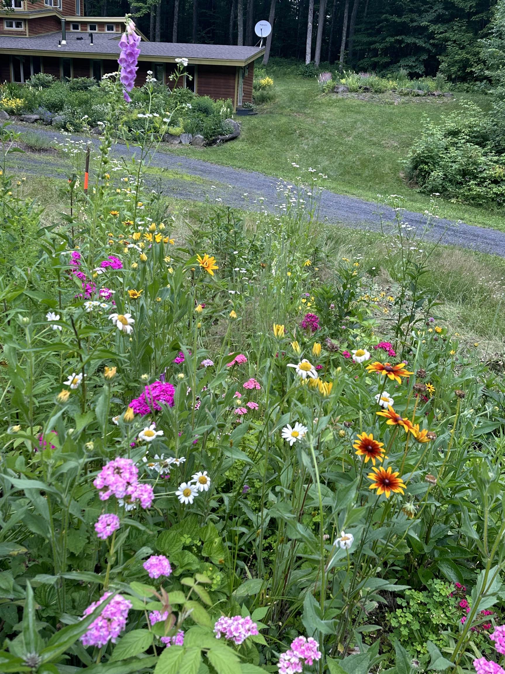 4359 Hollister Hill Road Marshfield, VT 05658 - Photo 52 of 59