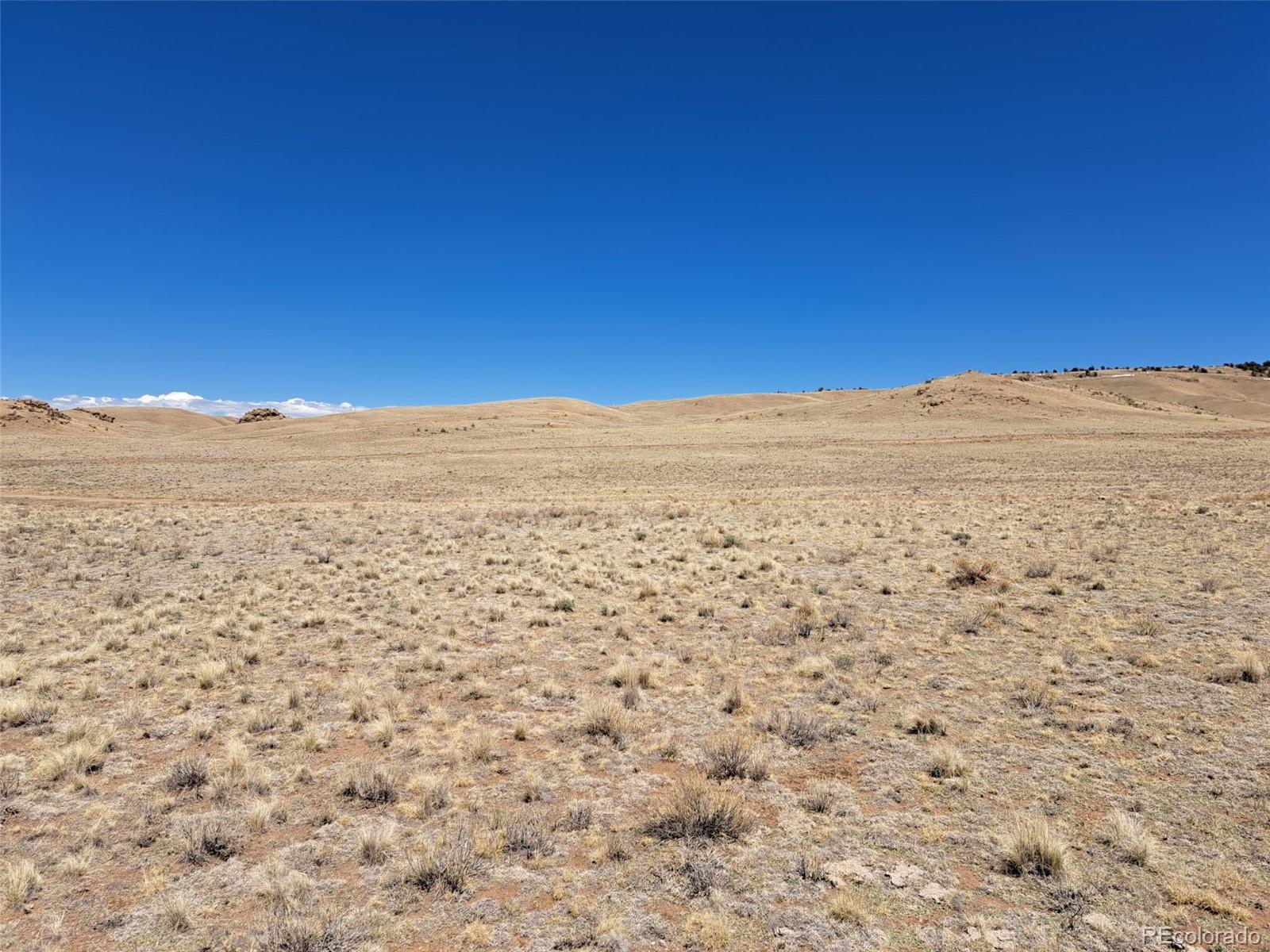 8313 Black Kettle Road Hartsel, CO 80449 - Photo 19 of 22