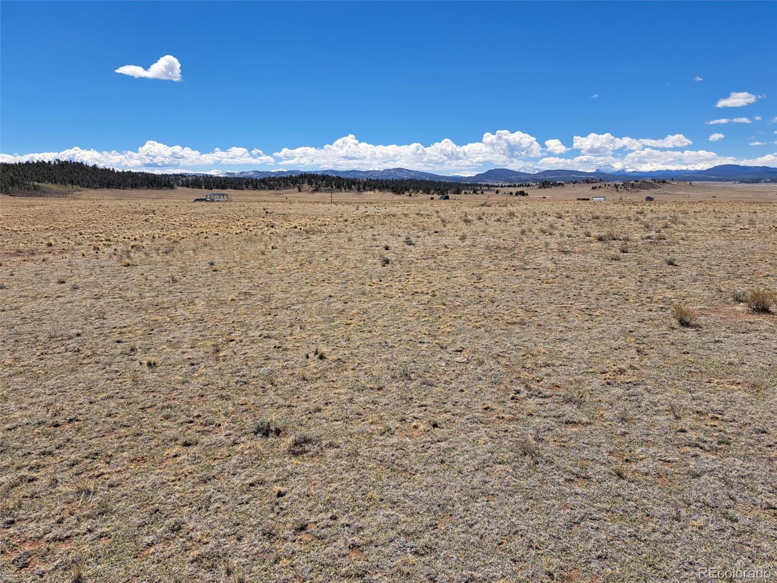 8313 Black Kettle Road Hartsel, CO 80449 - Photo 2 of 22